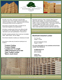 Sales Flyer